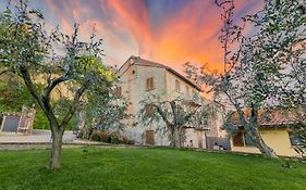 La Folaga Del Trasimeno